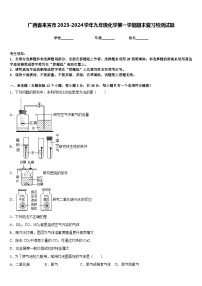 广西省来宾市2023-2024学年九年级化学第一学期期末复习检测试题含答案
