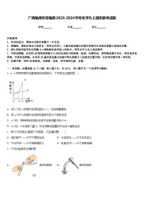 广西梧州市苍梧县2023-2024学年化学九上期末联考试题含答案