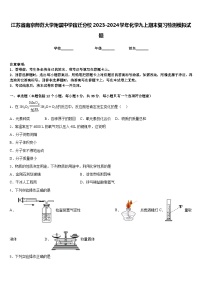 江苏省南京师范大学附属中学宿迁分校2023-2024学年化学九上期末复习检测模拟试题含答案