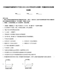 江苏省南京市南师附中江宁分校2023-2024学年化学九年级第一学期期末综合测试模拟试题含答案