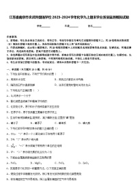 江苏省南京市玄武外国语学校2023-2024学年化学九上期末学业质量监测模拟试题含答案