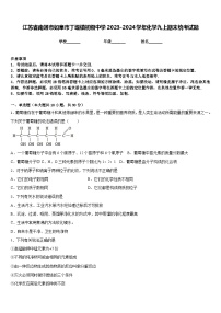 江苏省南通市如皋市丁堰镇初级中学2023-2024学年化学九上期末统考试题含答案