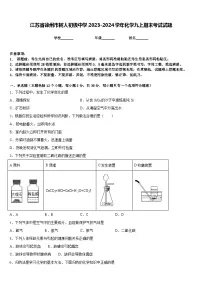 江苏省徐州市树人初级中学2023-2024学年化学九上期末考试试题含答案