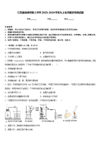 江苏省徐州市树人中学2023-2024学年九上化学期末检测试题含答案
