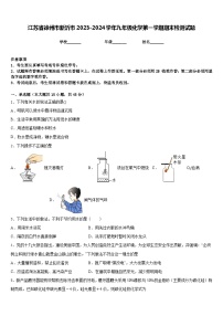 江苏省徐州市新沂市2023-2024学年九年级化学第一学期期末检测试题含答案