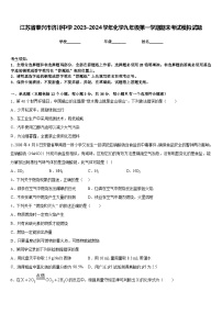 江苏省泰兴市济川中学2023-2024学年化学九年级第一学期期末考试模拟试题含答案