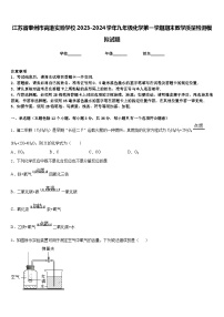 江苏省泰州市高港实验学校2023-2024学年九年级化学第一学期期末教学质量检测模拟试题含答案