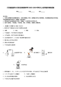 江苏省盐城市大丰区实验初级中学2023-2024学年九上化学期末预测试题含答案