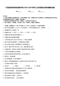 江苏省苏州市姑苏区振华学校2023-2024学年九上化学期末达标检测模拟试题含答案