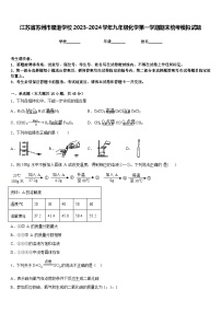 江苏省苏州市星港学校2023-2024学年九年级化学第一学期期末统考模拟试题含答案