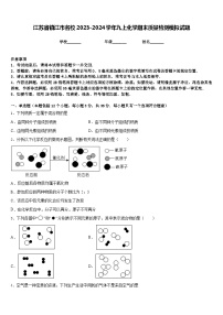 江苏省镇江市名校2023-2024学年九上化学期末质量检测模拟试题含答案