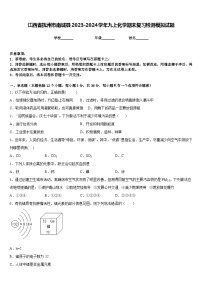 江西省抚州市南城县2023-2024学年九上化学期末复习检测模拟试题含答案