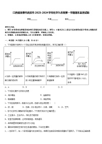 江西省宜春市高安市2023-2024学年化学九年级第一学期期末监测试题含答案