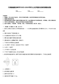 江西省南昌石埠中学2023-2024学年九上化学期末达标检测模拟试题含答案