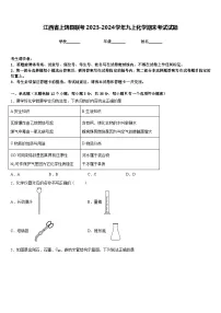 江西省上饶县联考2023-2024学年九上化学期末考试试题含答案