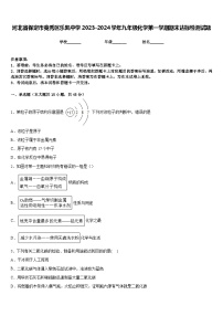 河北省保定市竞秀区乐凯中学2023-2024学年九年级化学第一学期期末达标检测试题含答案