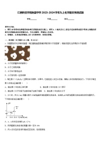 江西科技学院附属中学2023-2024学年九上化学期末预测试题含答案