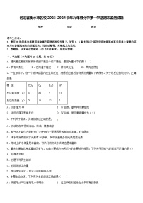 河北省衡水市名校2023-2024学年九年级化学第一学期期末监测试题含答案