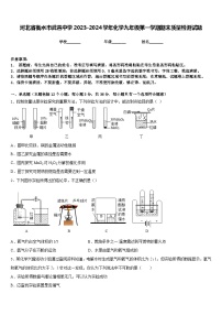 河北省衡水市武邑中学2023-2024学年化学九年级第一学期期末质量检测试题含答案