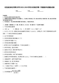 河北省石家庄市第九中学2023-2024学年九年级化学第一学期期末考试模拟试题含答案