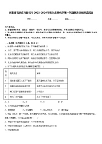 河北省石家庄市新乐市2023-2024学年九年级化学第一学期期末综合测试试题含答案