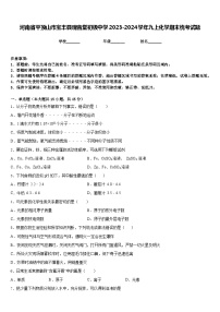 河南省平顶山市宝丰县观音堂初级中学2023-2024学年九上化学期末统考试题含答案