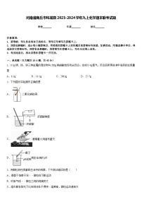 河南省商丘市柘城县2023-2024学年九上化学期末联考试题含答案