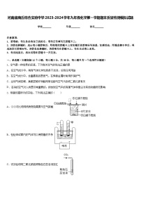 河南省商丘综合实验中学2023-2024学年九年级化学第一学期期末质量检测模拟试题含答案