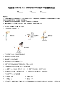 河南省周口市商水县2023-2024学年化学九年级第一学期期末检测试题含答案