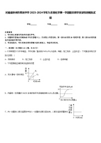 河南省林州市阜民中学2023-2024学年九年级化学第一学期期末教学质量检测模拟试题含答案