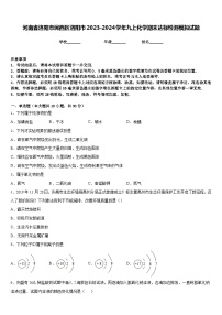 河南省洛阳市涧西区洛阳市2023-2024学年九上化学期末达标检测模拟试题含答案