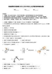 河南省漯河市临颍县2023-2024学年九上化学期末联考模拟试题含答案