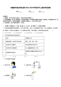 河南省平顶山市鲁山县2023-2024学年化学九上期末考试试题含答案