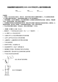 河南省濮阳市油田实验学校2023-2024学年化学九上期末检测模拟试题含答案