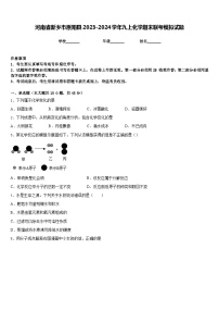 河南省新乡市原阳县2023-2024学年九上化学期末联考模拟试题含答案