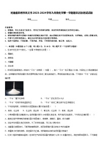 河南省郑州市巩义市2023-2024学年九年级化学第一学期期末达标测试试题含答案