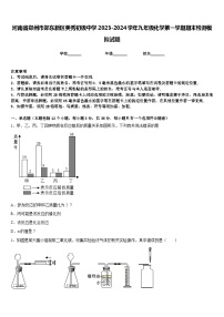 河南省郑州市郑东新区美秀初级中学2023-2024学年九年级化学第一学期期末检测模拟试题含答案