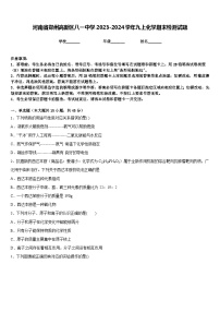 河南省郑州高新区八一中学2023-2024学年九上化学期末检测试题含答案