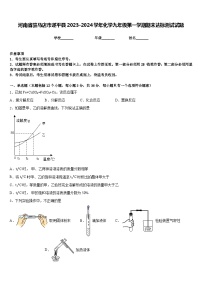 河南省驻马店市遂平县2023-2024学年化学九年级第一学期期末达标测试试题含答案