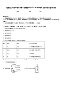 河南省驻马店市遂平县第一初级中学2023-2024学年九上化学期末联考试题含答案