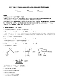 泰兴市济川中学2023-2024学年九上化学期末质量检测模拟试题含答案