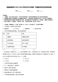 海南省儋州市2023-2024学年化学九年级第一学期期末教学质量检测试题含答案