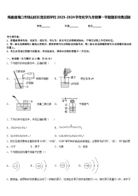 海南省海口市琼山区长流实验学校2023-2024学年化学九年级第一学期期末经典试题含答案