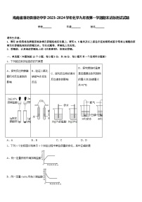 海南省澄迈县澄迈中学2023-2024学年化学九年级第一学期期末达标测试试题含答案