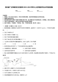 四川省广元市朝天区五校联考2023-2024学年九上化学期末学业水平测试试题含答案