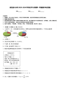 湖北省大冶市2023-2024学年化学九年级第一学期期末考试试题含答案