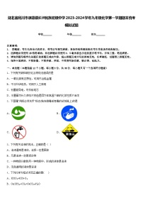 湖北省利川市谋道镇长坪民族初级中学2023-2024学年九年级化学第一学期期末统考模拟试题含答案