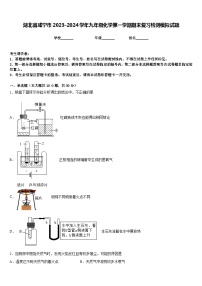 湖北省咸宁市2023-2024学年九年级化学第一学期期末复习检测模拟试题含答案