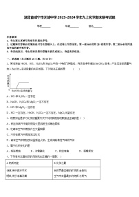 湖北省咸宁市天城中学2023-2024学年九上化学期末联考试题含答案