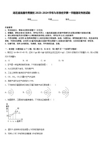 湖北省宜昌市夷陵区2023-2024学年九年级化学第一学期期末预测试题含答案